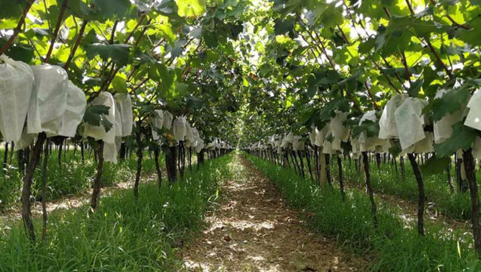 image001.jpg image001.jpg