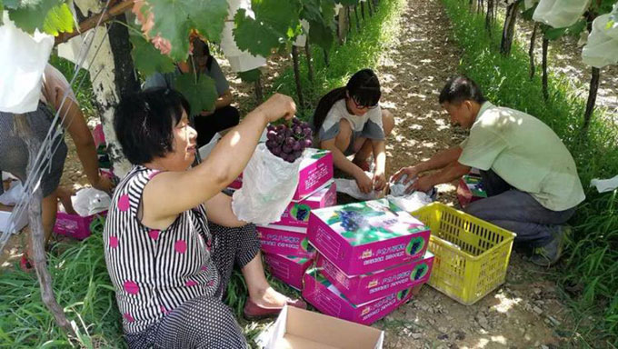 image003.jpg image003.jpg