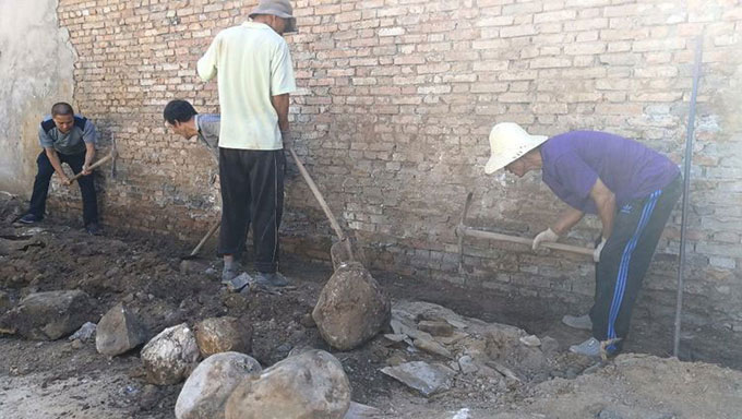 image005.jpg image005.jpg