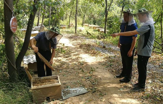 未标题-3.jpg 未标题-3.jpg